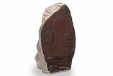 Free-Standing Polished Tiger Iron Stromatolite - Ga #222940-2
